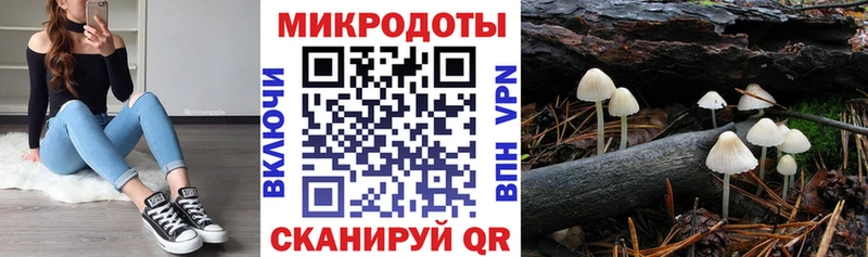 Псилоцибиновые грибы Psilocybine cubensis Алушта